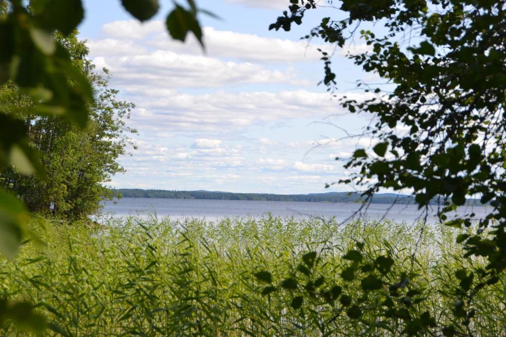 Holiday Home Tuomarniemi Kokonvaara Ruang foto